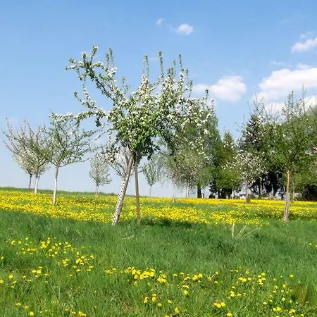 Апартаменты Kuhn